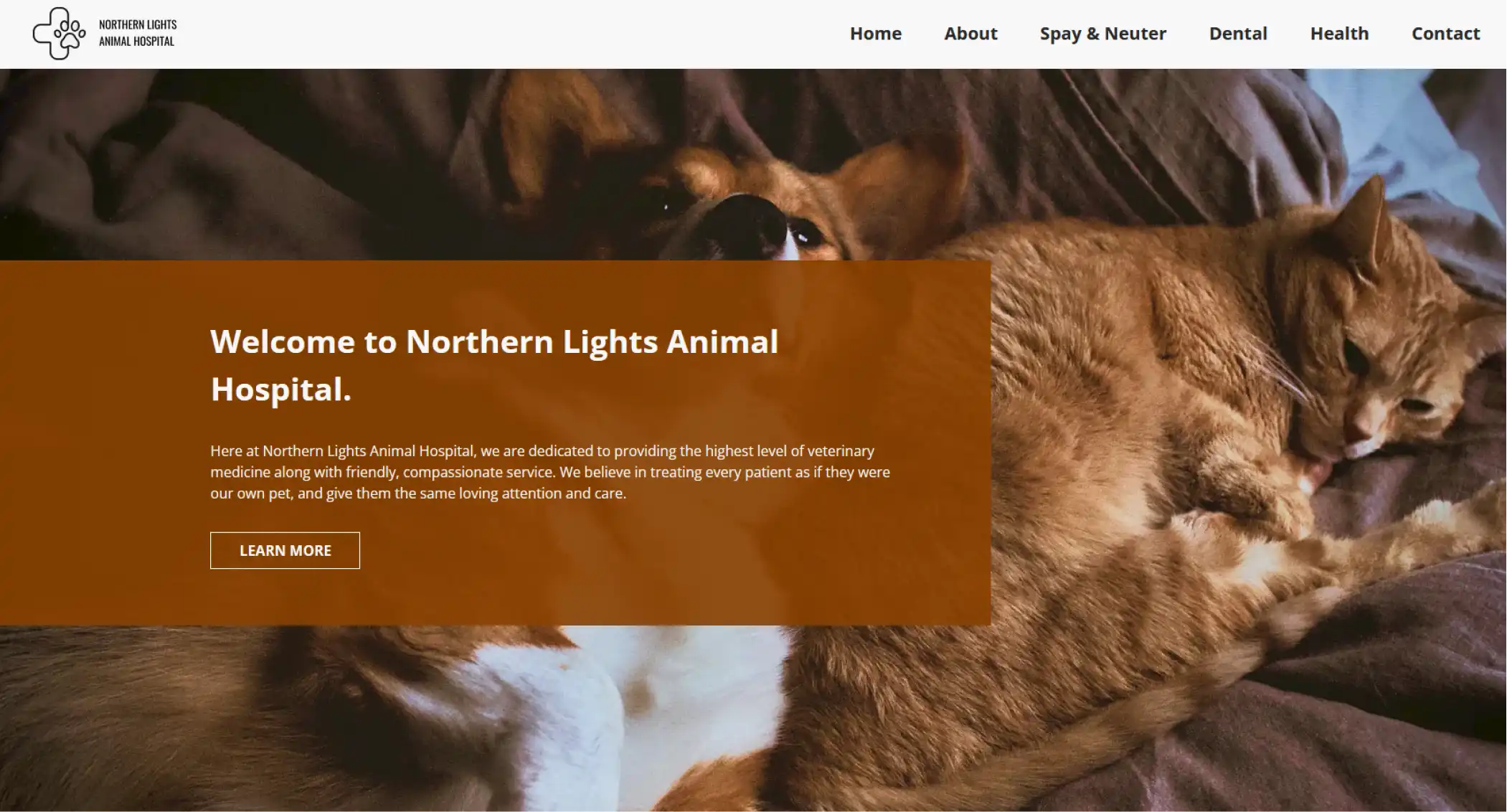 image of northernlights-preview